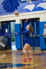 Volleyball: Tuscola  at West Henderson (BR3_6483)