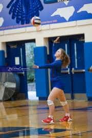Volleyball: Tuscola  at West Henderson (BR3_6484)