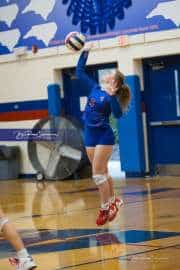 Volleyball: Tuscola  at West Henderson (BR3_6485)