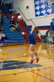 Volleyball: Tuscola  at West Henderson (BR3_6501)