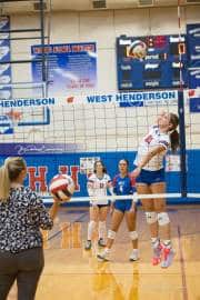Volleyball: Tuscola  at West Henderson (BR3_6971)