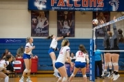Volleyball: Tuscola  at West Henderson (BR3_7317)