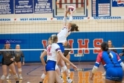 Volleyball: Tuscola  at West Henderson (BR3_7399)