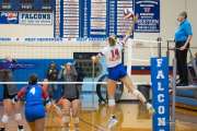 Volleyball: Tuscola  at West Henderson (BR3_7406)
