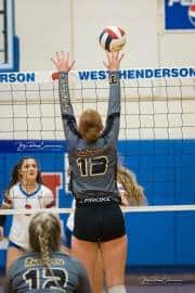Volleyball: Tuscola  at West Henderson (BR3_7530)