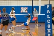 Volleyball: Tuscola  at West Henderson (BR3_7545)