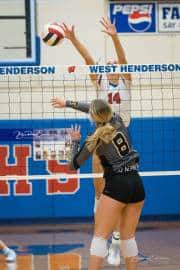 Volleyball: Tuscola  at West Henderson (BR3_7576)
