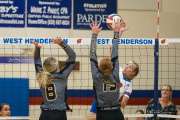 Volleyball: Tuscola  at West Henderson (BR3_7583)