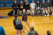 Volleyball: Tuscola  at West Henderson (BR3_7833)