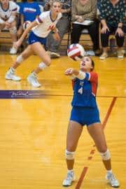 Volleyball: Tuscola  at West Henderson (BR3_7884)