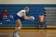 Volleyball: Tuscola  at West Henderson (BR3_7985)