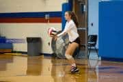 Volleyball: Tuscola  at West Henderson (BR3_8141)