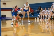 Volleyball: Tuscola  at West Henderson (BR3_8224)