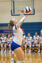 Volleyball: Tuscola  at West Henderson (BR3_8522)