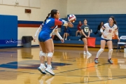 Volleyball: Tuscola  at West Henderson (BR3_8551)