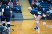 Volleyball: Hickory Ridge at TC Roberson (BR3_1913)