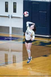 Volleyball: Hickory Ridge at TC Roberson (BR3_2114)