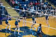 Volleyball: Hickory Ridge at TC Roberson (BR3_2137)