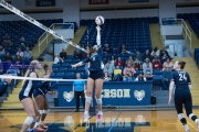 Volleyball: Hickory Ridge at TC Roberson (BR3_3262)