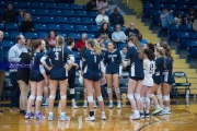 Volleyball: Hickory Ridge at TC Roberson (BR3_3366)