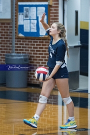Volleyball: Hickory Ridge at TC Roberson (BR3_3374)