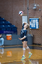 Volleyball: Hickory Ridge at TC Roberson (BR3_3377)