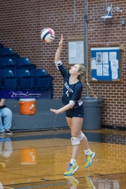 Volleyball: Hickory Ridge at TC Roberson (BR3_3379)