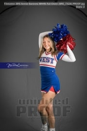 Senior Banners WHHS Fall Cheer (BRE_7324)