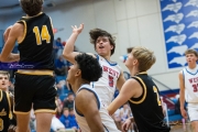 Basketball: Tuscola at West Henderson (BR3_7534)