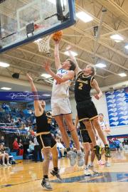 Basketball: Tuscola at West Henderson (BR3_7637)