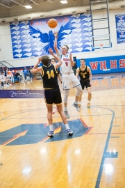 Basketball: Tuscola at West Henderson (BR3_7761)