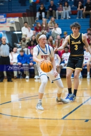 Basketball: Tuscola at West Henderson (BR3_8090)
