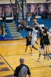 Basketball: Tuscola at West Henderson (BR3_8389)