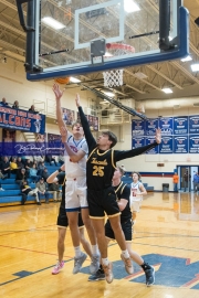 Basketball: Tuscola at West Henderson (BR3_8510)