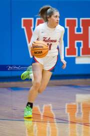 Basketball: Tuscola at West Henderson (BR3_6487)