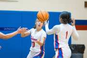 Basketball: Tuscola at West Henderson (BR3_6528)