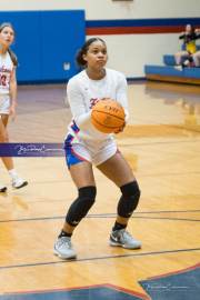 Basketball: Tuscola at West Henderson (BR3_6663)