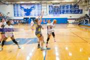Basketball: Tuscola at West Henderson (BR3_6717)