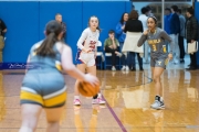 Basketball: Tuscola at West Henderson (BR3_6973)