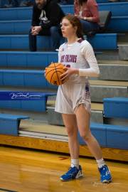 Basketball: Tuscola at West Henderson (BR3_5071)