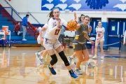Basketball: Tuscola at West Henderson (BR3_5136)