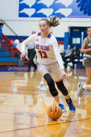 Basketball: Tuscola at West Henderson (BR3_5142)