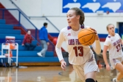 Basketball: Tuscola at West Henderson (BR3_5143)