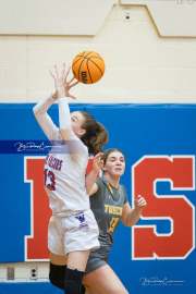 Basketball: Tuscola at West Henderson (BR3_5310)