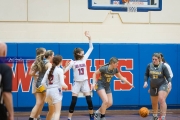 Basketball: Tuscola at West Henderson (BR3_5313)