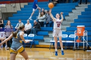 Basketball: Tuscola at West Henderson (BR3_5361)