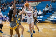 Basketball: Tuscola at West Henderson (BR3_5411)