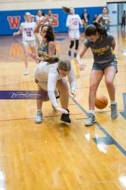 Basketball: Tuscola at West Henderson (BR3_5447)