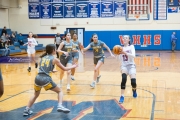 Basketball: Tuscola at West Henderson (BR3_5523)