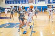 Basketball: Tuscola at West Henderson (BR3_5572)